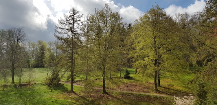 Pflegeauszeit im Schwarzwald